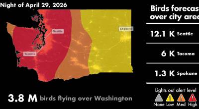 The night of April 29 showing peak bird migration in Washington state. Image courtesy of Purdue AeroEco Lab.