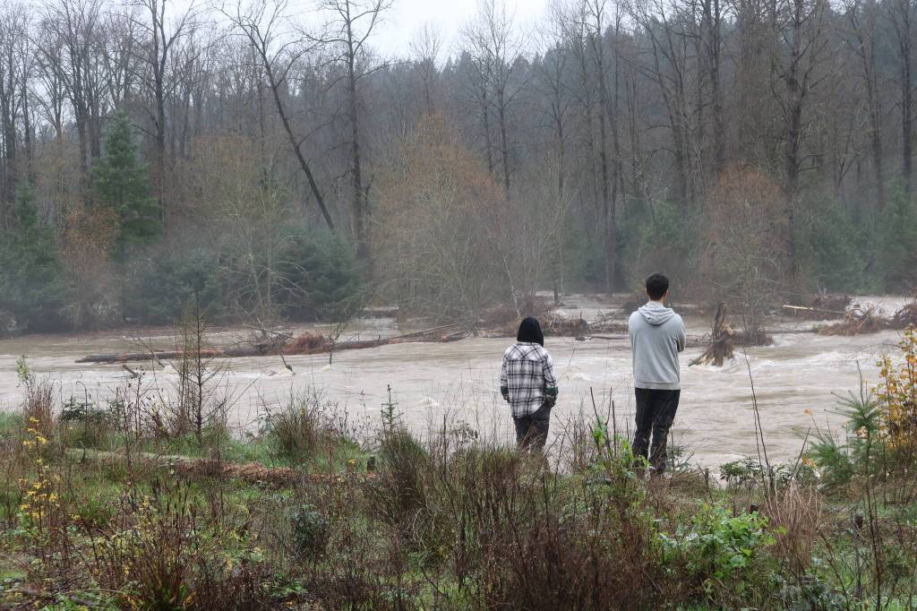 Onlookers stop off SR-169 to view the flooded Cedar River on Dec. 12, 2025. Photo by Bailey Jo Josie/Sound Publishing.