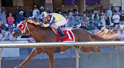 Silvio Amador rides Si That Tiger at Emerald Downs. COURTESY PHOTO, Vince Bruun/ Emerald Downs